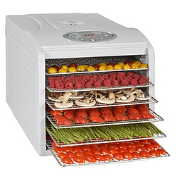 Déshydrateur fruits et légumes 6 plateaux 500w - kys-333b - KITCHEN CHEF