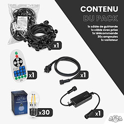 Acheter SkyLantern Guirlande Guinguette 10M Filament LED 30 Bulbes Dimmables Avec Variateur et Télécommande