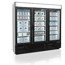 Congélateur Vertical de Vitrine NF7500G - TEFCOLD