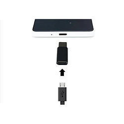 GUPBOO Adaptateur Micro USB 3.1 USB Type-C,JL928