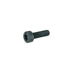 Vis cylindrique TOOLCRAFT 839658 20 pc(s) M2 5 mm tête cylindrique 6 pans intérieurs acier DIN 912