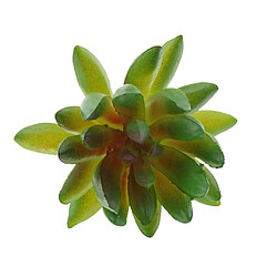 Avis Plante Succulente Artificielle