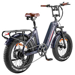 Vélo électrique Fafrees 20*4.0 pouces moteur de 500W Vitesse de 25 km/h Batterie Samsung 48V 22.5Ah, F20 Master - Gris Aurora pas cher