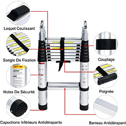 Acheter Échelle Télescopique Pliante, Charge Maximale : 150 kg - 5m (2.5M+2.5M)