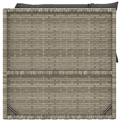 Acheter vidaXL Salon de jardin 2 pcs avec coussins Gris Résine tressée