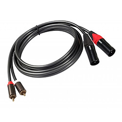 Acheter Câble Double XLR vers RCA