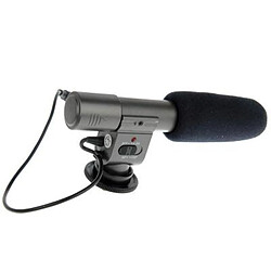 Microphone