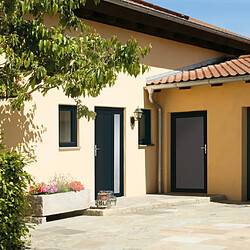 vidaXL Porte d'entrée anthracite 108x208 cm PVC