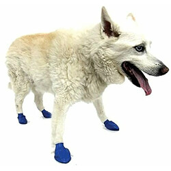 Pawz Bottes pour Chien M, Lot de 12, Bleu