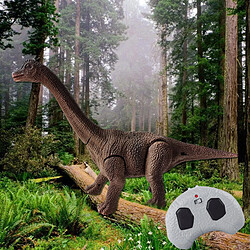 Acheter Réaliste Enfants RC Dinosaure Rugissant éducatif Sons 360 Rotation Cascadeur Brachiosaure