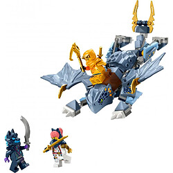 Avis LEGO NINJAGO LEGO® Ninjago® 71810 Le jeune dragon Riyu