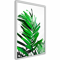 Paris Prix Affiche Murale Encadrée Emerald Palm 20 x 30 cm Blanc