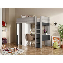 Vente-Unique Lit mezzanine 90 x 200 cm avec armoire et bureau - Anthracite et blanc - NICOLAS II