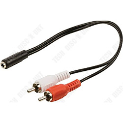 Tech Discount TD® Câble audio-RCA à deux mâles AV-APM-Câble 419004 Adaptateur 2 RCA male-Jack 3.5 mm femelle-cable et connectique-image-son