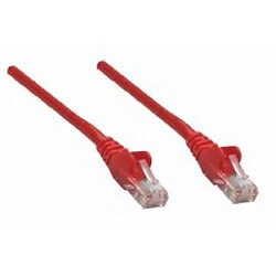 Disney Intellinet Cat5e, UTP, 0.25m câble de réseau 0,25 m U/UTP [UTP] Rouge (NETWORK CABLE CAT5E COPP 0.25M- - RED U/UTP CBL/UNSHIELD TP/UNSHIE)