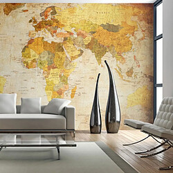 Paris Prix Papier Peint Old Globe II 270x450cm