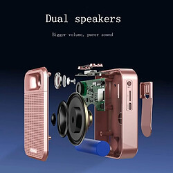 Acheter Yonis Microphone Bluetooth Haut-Parleur Rose Gold