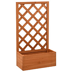 vidaXL Jardinière à treillis - Orange - 50x25x90 cm - Bois de sapin