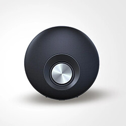 Universal Haut-parleur Bluetooth Portable Puissant Colonne Haut-parleur Smart Woofer Récepteur stéréo sans fil Google Mini Premier Page | Haut-parleur Portable (Noir)