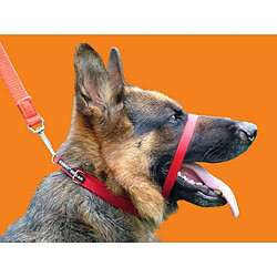 Canny - Collier anti-traction - Chien (Taille 2) (Rouge) - UTVP2006