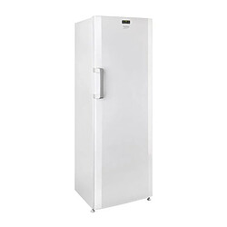 Beko - Congélateur Armoire 170L