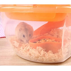 Acheter Universal Hamster Cage Outdoor Portable Travel Double Living Room Carrying Plastic | Cage