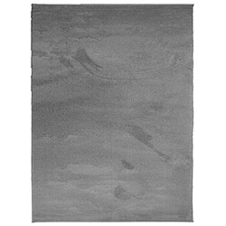 vidaXL Tapis OVIEDO à poils courts anthracite 240x340 cm