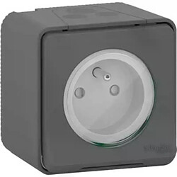 prise 2 p+t - gris - saillie - schneider electric mur35031 pas cher