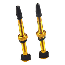 2X Vélo Vélo Alliage D'aluminium 60mm Tubeless Presta Valve Kit Remplacement Doré