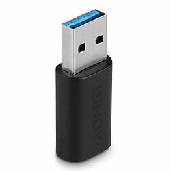 Lindy Adapteur USB 3.2 Type A vers C