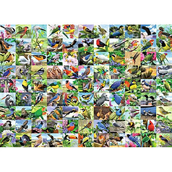 Puzzle 2D Large format: 99 Delightful birds 300 elements