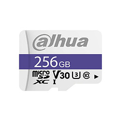 Dahua DHI-TF-P100/256GB