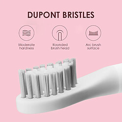 Universal Brosse à dents acoustique électrique Minuteur rechargeable USB Brosse à dents Nettoyage en profondeur automatique Étanche Charge radio