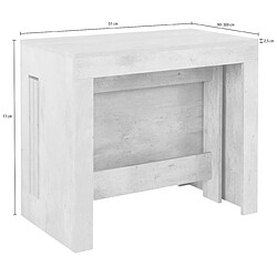 Avis Alter Table à manger moderne, Made in Italy, Console extensible jusqu'à 12 places, avec support d'extension, 51x90h77 cm (jusqu'à 300 cm) couleur Ciment