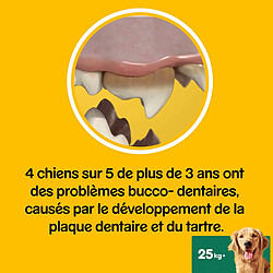 Acheter Pedigree Dentastix Fresh - Friandises pour Grand Chien, 112 Bâtonnets à Mâcher pour L'hygiène Bucco-Dentaire (16 Sachets de 7 Sticks)