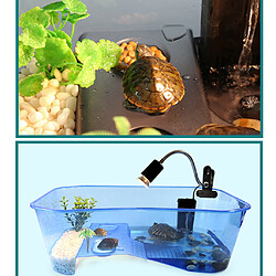 Avis terrarium tortue d'eau