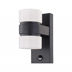 EGLO Lampe murale LED à capteur d'extérieur Atollari 2x6 W Anthracite