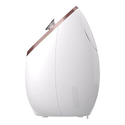 Avis Medisana Sauna facial nano-ionique DS 600 blanc et doré rose