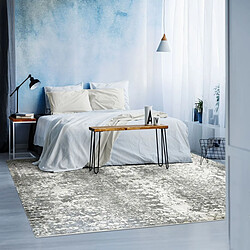 Thedecofactory VESTALE IMPRESSION - Tapis extra-doux impression gris argent 160x230 pas cher