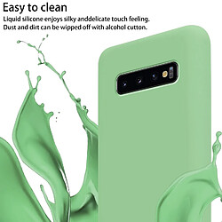 Cadorabo Etui Samsung Galaxy S10 PLUS Coque en Vert