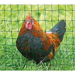 Avis Ako Agrartechnik Filet poule 50m Hauteur 1,12m simple pointe PoultryNet