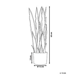 Avis Beliani Plante artificielle SNAKE PLANT 63 cm