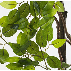 Acheter Plante décorative Alexandra House Living Plastique Ficus 18 x 22 x 162 cm