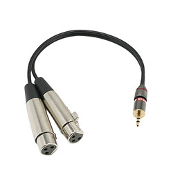 Câble d'Extension Stéréo Mini Jack Audio 3.5mm à Double XLR Femelles