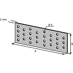 Avis plaque perforee SIMPSON STRONG-TIE NP20/100/240