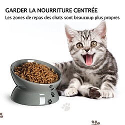 Avis YYHY Gamelle surélevée pour chat 13×9cm/148ml, angle d'inclinaison surélevé en céramique pour protéger la colonne vertébrale du chat,gamelle anti-vomissements pour chat – Gris