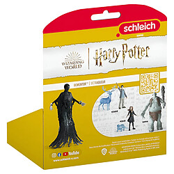 Acheter Schleich Figurine Détraqueur en Posture Flottante Harry Potter Wizarding World Noir