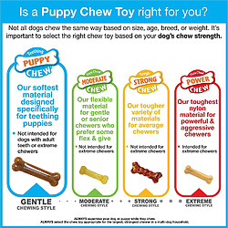 Nylabone Jouet clés premières dents pour chiot, Extra Small