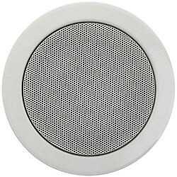 Enceinte de plafond 100v blanc - en-cmx6t10 - APART