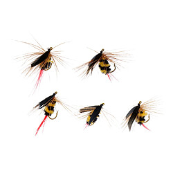 5Pcs Bumble Bee Nymphe Truite Mouches Pêche à la Mouche Insectes Appâts Mouches Sèches pas cher